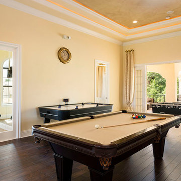 Reunion Home Theater and Game Areas