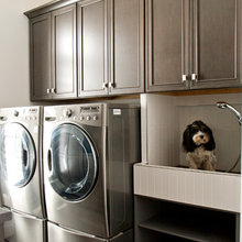 Dog Wash