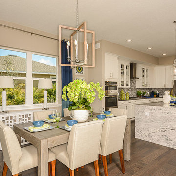 Eco Friendly Homes Tampa