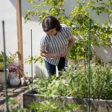 Edible gardens