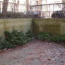 2009 Patio Garden Transformation