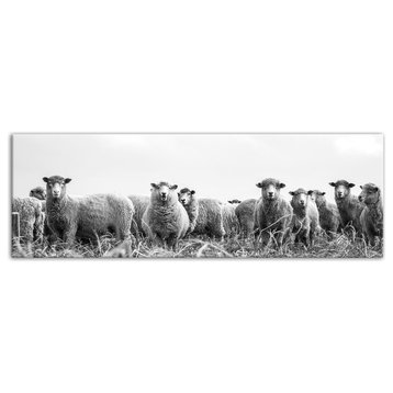Black and White Sheep 12x36 Canvas Wall Art