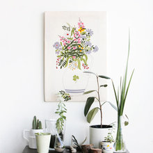 Plants