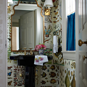 cabinet of curiosities powder bath