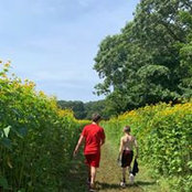 Laura Blasberg's photo