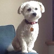 Joyce Dudley's photo