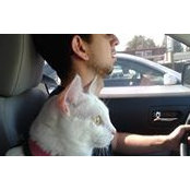 Julie Grimes's photo