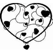 Amy McAllister's photo