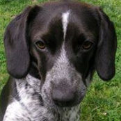 Steven Stembridge's photo