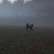 Jeff Gottesman's photo