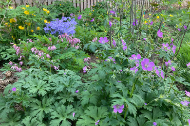 Design ideas for a shade backyard landscaping in DC Metro for spring.