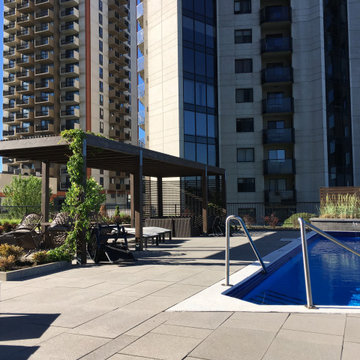 Modern pergola and privacy walls