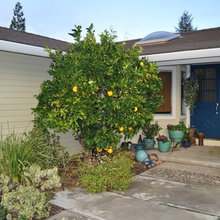 front walkway