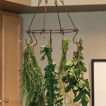 Display your plants