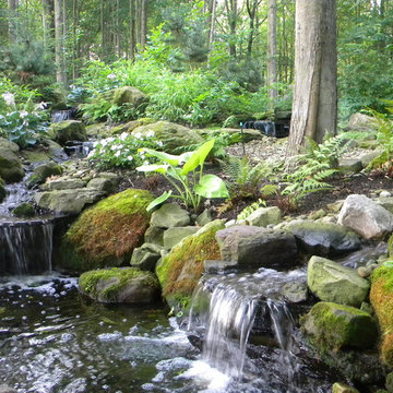 Waterfall and Stream