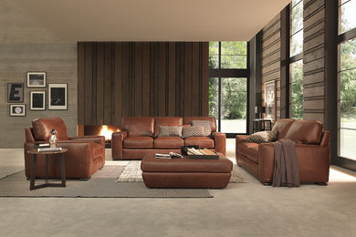 Inspiration for a transitional living room remodel in Toronto