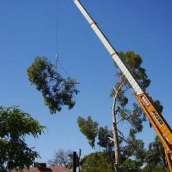 Tree removal project - Products