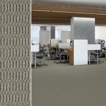 Shaw Philadelphia Sourcebook III On Site 54802 Commercial Carpet