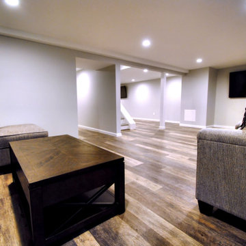 Dix Hills Basement