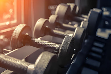 The Ultimate Guide to Using a Weight Bench Effectively