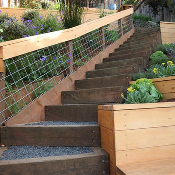 City View Garden - Bernal Heights