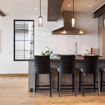 Ski In Ski Out Contemporary home