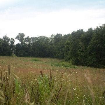 Chester Springs Meadow