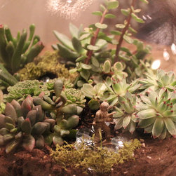 DIY - Plants
