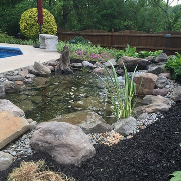 Backyard Fish Pond Installation