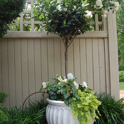 Drip Irrigation - Outdoor Products