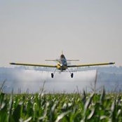 Jake Ellis's photo