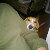 Walker Cooper's photo