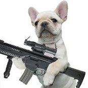 Stephanie Schenk's photo