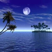 Sundra Scallan's photo