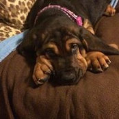 Ruby Lepper's photo