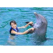 Nico Yu's photo