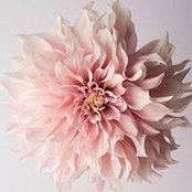 Maegen Jones's photo