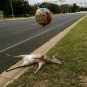 Carter Harrell's photo