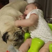 Anja Steward's photo