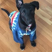 Diane Bashaw's photo