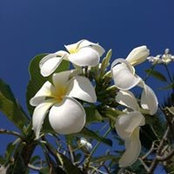 Victoria Polivanova's photo
