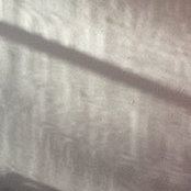 Ryann Mead's photo