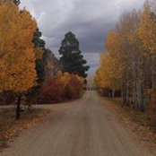 Kim Felderhoff's photo