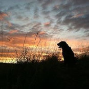 Paul Kerr's photo