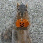Sharon Davidson's photo