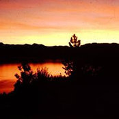 Shawn Ewing's photo