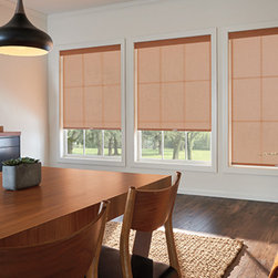Living room - Window Blinds