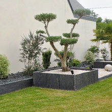 Landscaping, modern