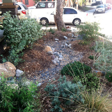 Rainwater Catchment