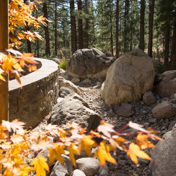 Forest home backyard renovation